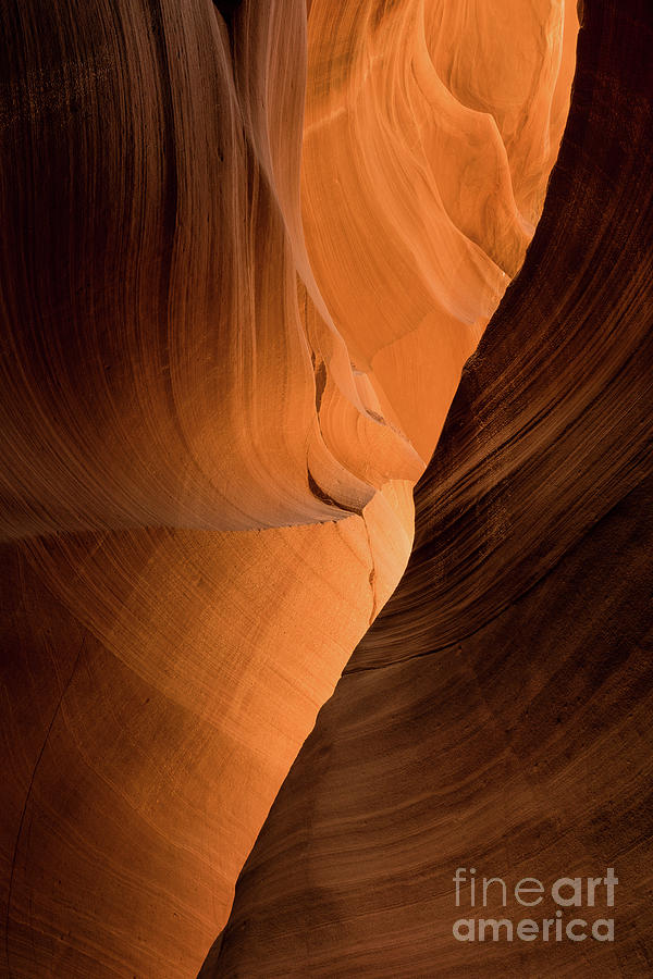 Lower Antelope Canyon #16 Photograph by Craig Shaknis