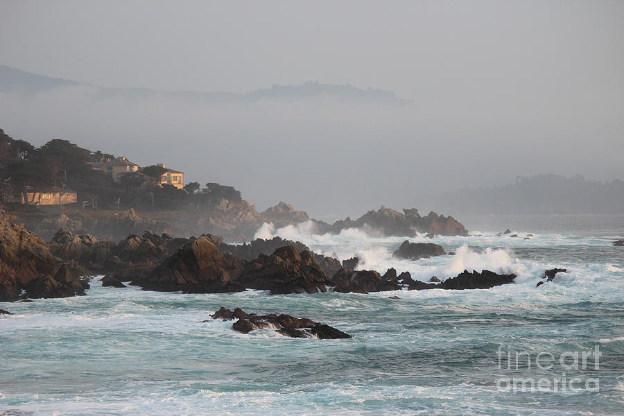 Nature Photograph - 17 Mile Drive - Monterey by Marta Robin Gaughen