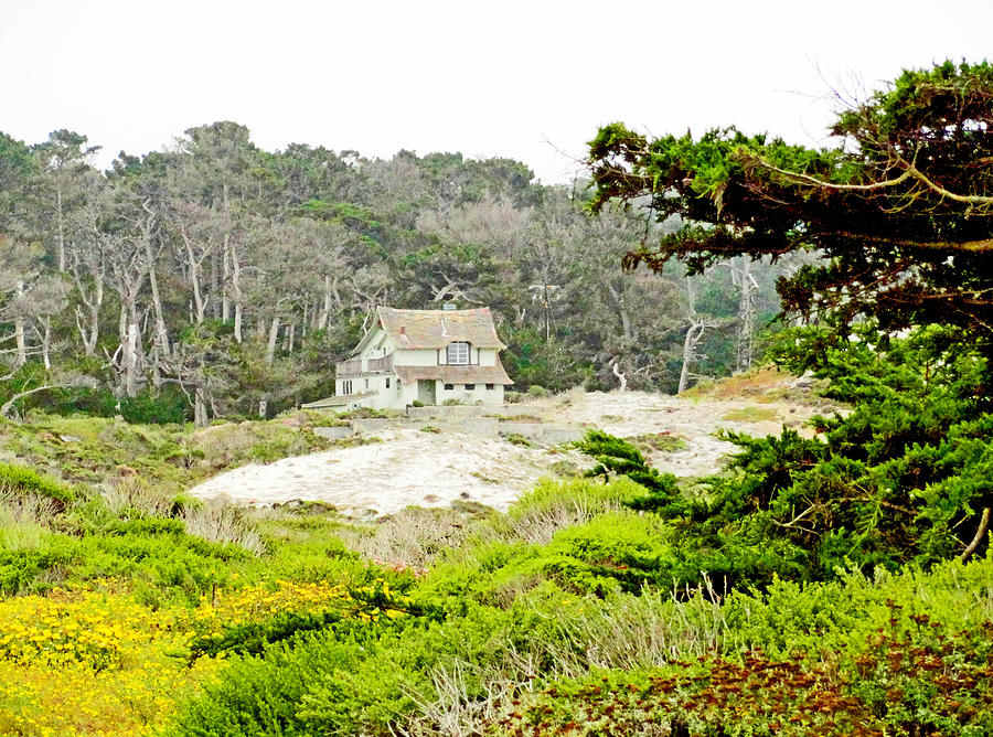 17 Mile Drive Study 1 Photograph by Robert Meyers-Lussier