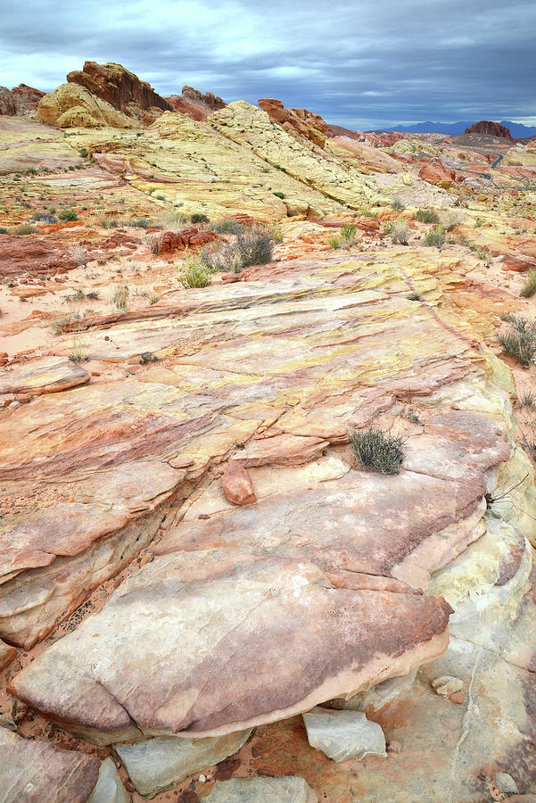 Multicolored Sandstone in Valley of Fire #17 Photograph by Ray Mathis