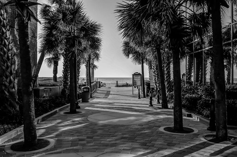 Myrtle Beach South Carolina #17 Photograph by Alex Grichenko
