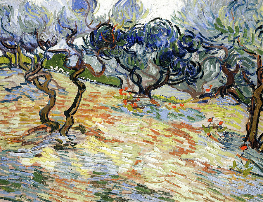 Tree Painting - Olive Trees   #17 by Vincent Van Gogh
