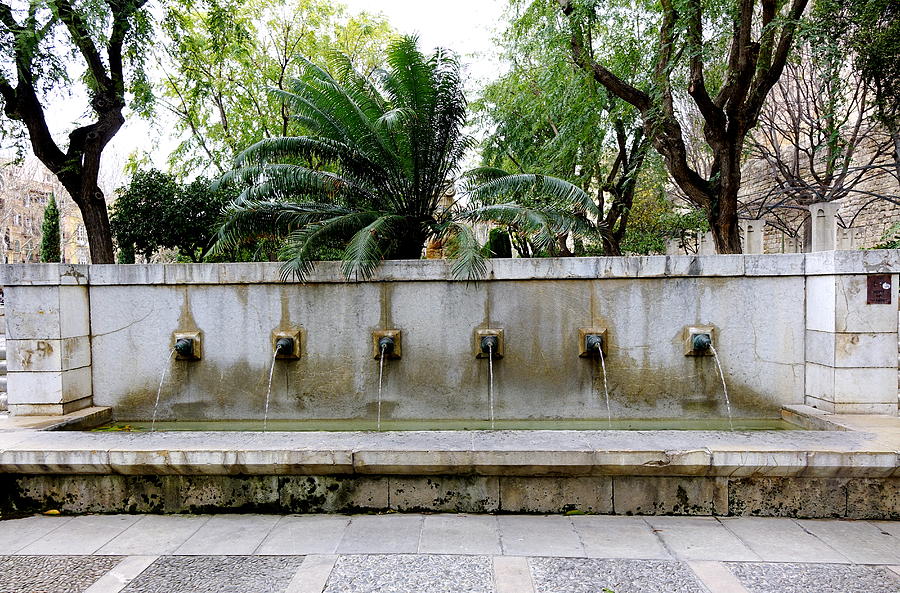 Public Fountain In Palma Majorca Spain #17 Photograph by Rick Rosenshein