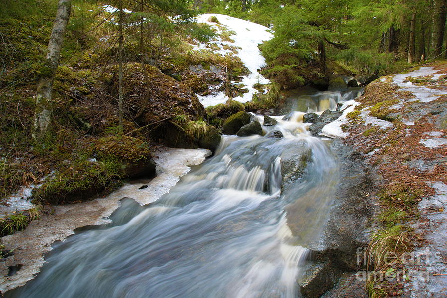Spring Photograph - Rapids #17 by Esko Lindell