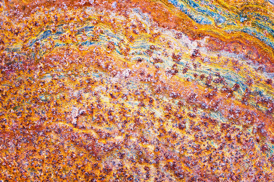 Abstract Photograph - Rusty metal #17 by Tom Gowanlock
