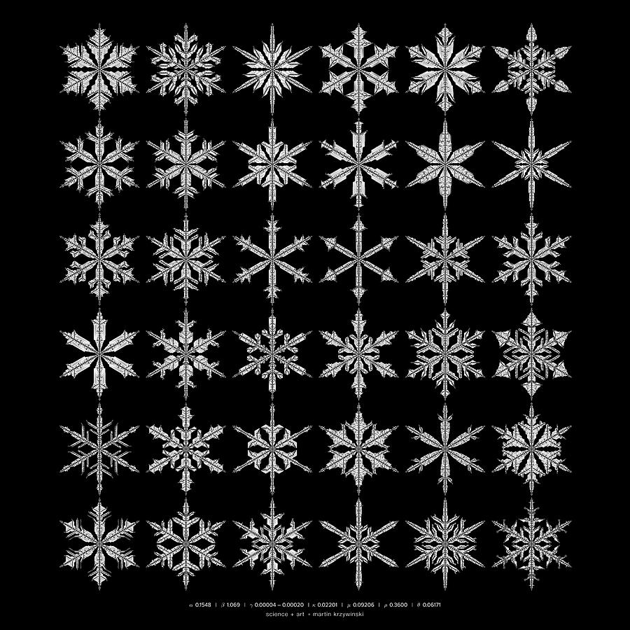 Snowflake simulation #17 Digital Art by Martin Krzywinski