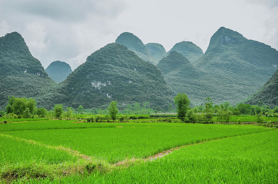 The beautiful karst rural scenery #17 Photograph by Carl Ning