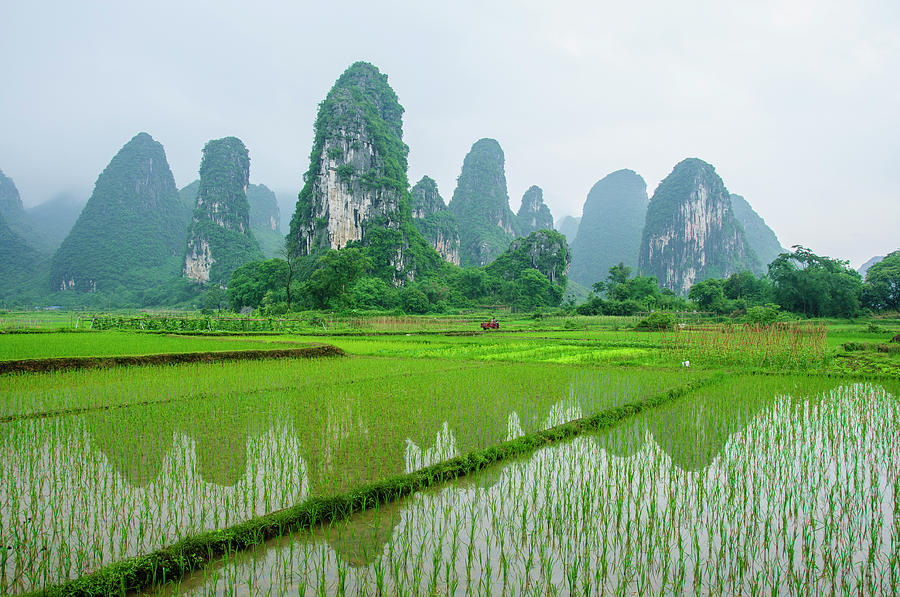The beautiful karst rural scenery in spring #17 Photograph by Carl Ning