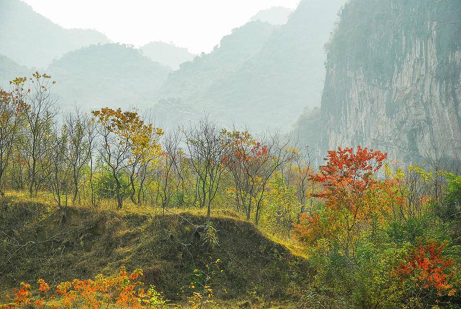 The colorful autumn scenery #17 Photograph by Carl Ning