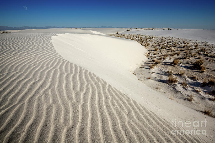 White Sands National Monument Photograph - Lunar Sands by Jamie Pham
