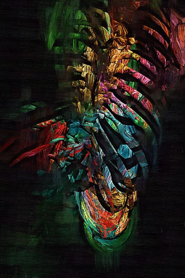 Skeleton Digital Art - Torso Skeleton #17 by Joseph Ventura