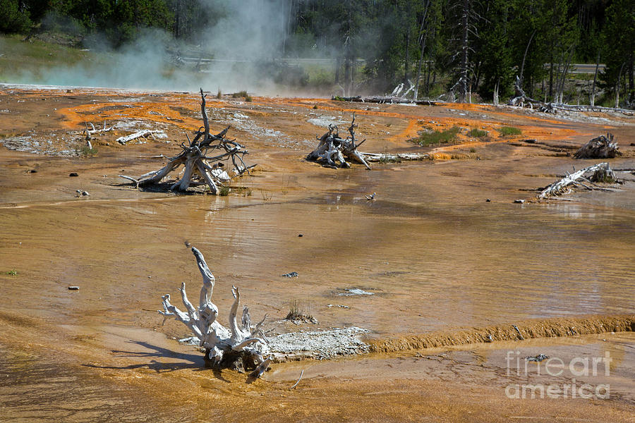 Yellowstone National Park #17 Photograph by Jim West