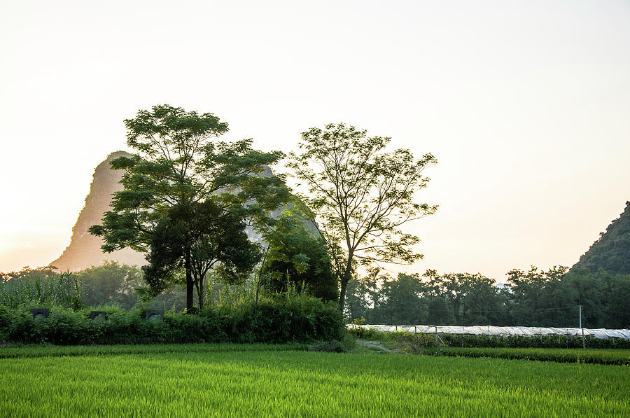 The beautiful karst rural scenery #173 Photograph by Carl Ning