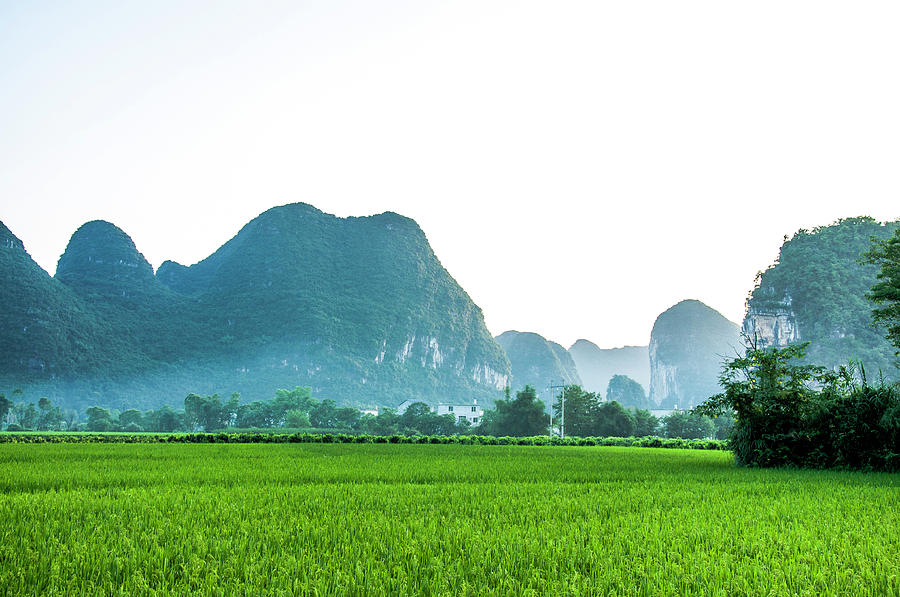 The beautiful karst rural scenery #174 Photograph by Carl Ning