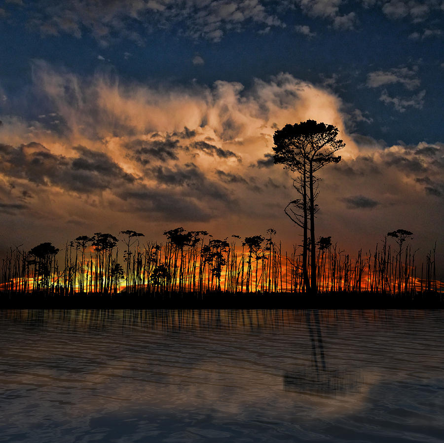 1747 Photograph by Peter Holme III