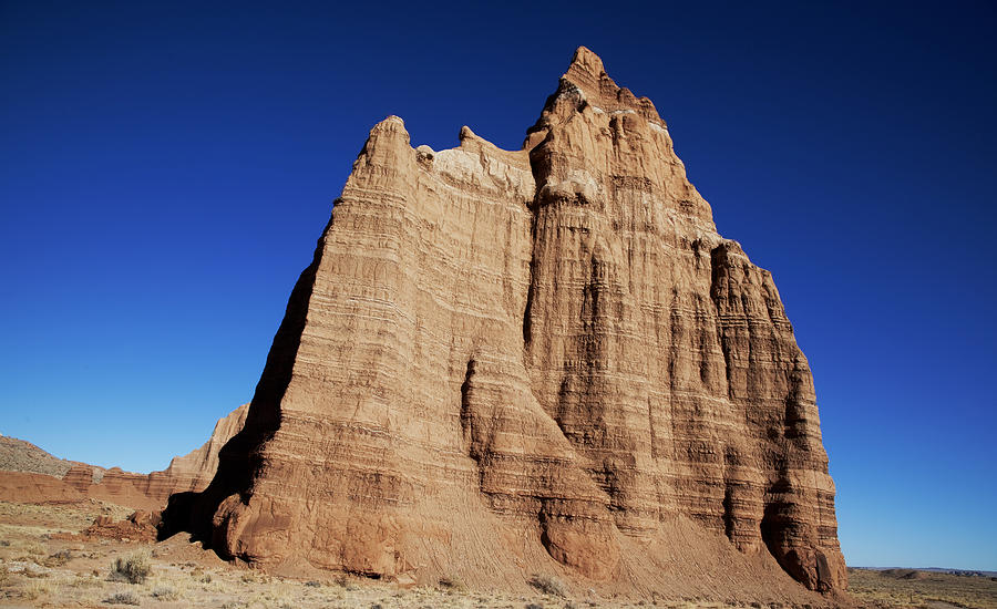Capitol Reef National Park Photograph - Capitol Reef National Park by Mark Smith Capitol Reef National Park Photograph - Capitol Reef National Park by Mark Smith