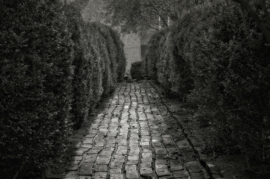 1796 Liberty Hall Pathway To Garden  -  1796libertyhallgardenpathblkwhi137032 Photograph by Frank J Benz