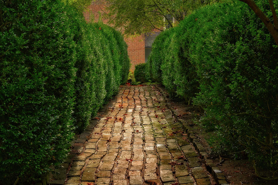 1796 Liberty Hall Pathway To The Garden  -  1796libertyhallgardenpath137032 Photograph by Frank J Benz