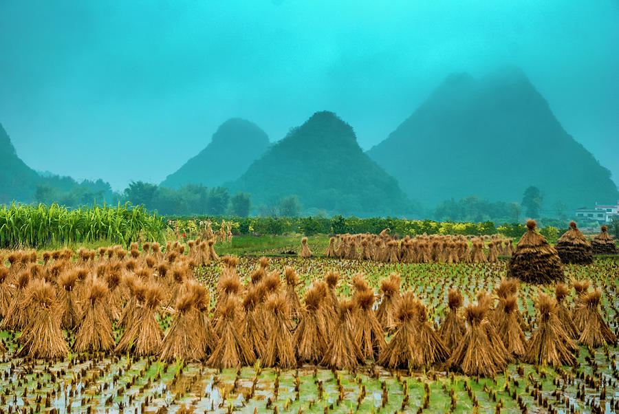 Beautiful countryside scenery in autumn #18 Photograph by Carl Ning
