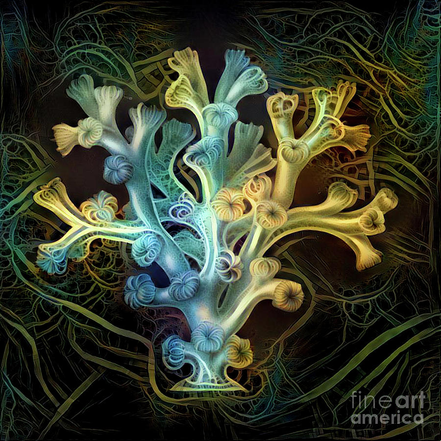 Beautiful undersea coral #18 Digital Art by Amy Cicconi