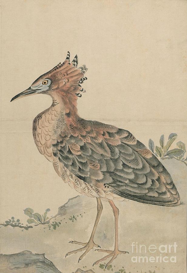 Birds of Japan in the 19th century #18 Painting by Celestial Images