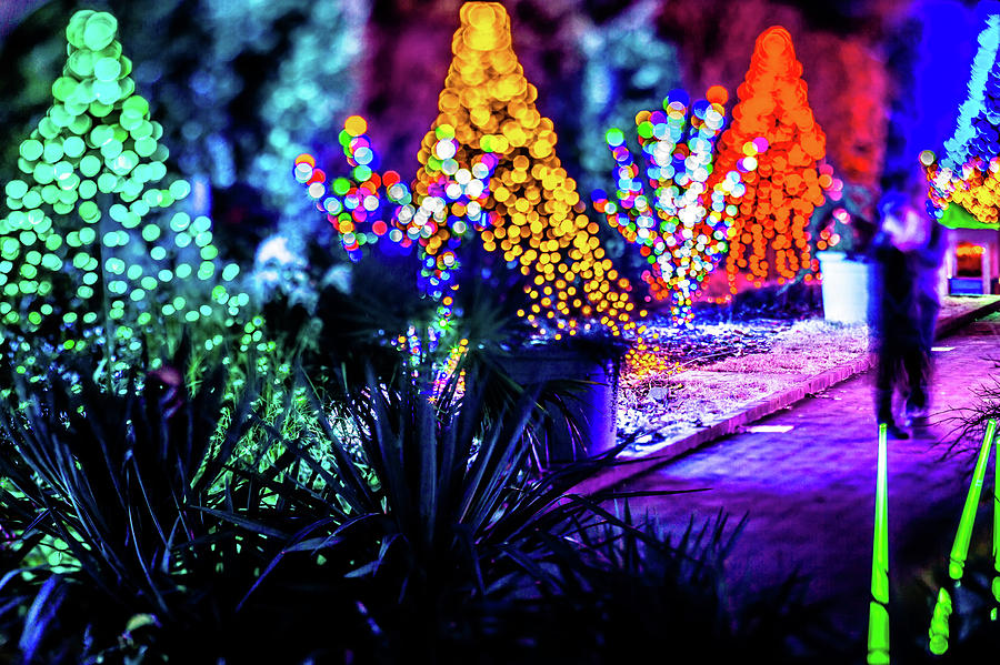 Christmas Season Decorationsafter Sunset At The Gardens #18 Photograph by Alex Grichenko