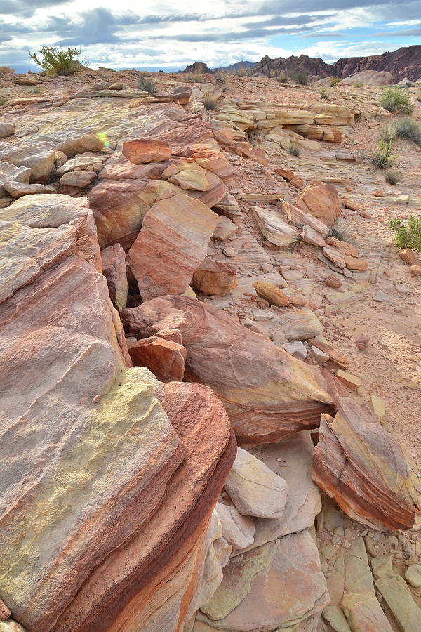 Colorful Sandstone in Valley of Fire #17 Photograph by Ray Mathis