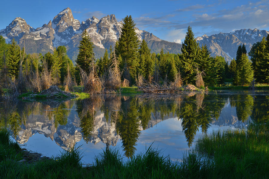 Grand Teton National Park #18 Photograph by Ray Mathis