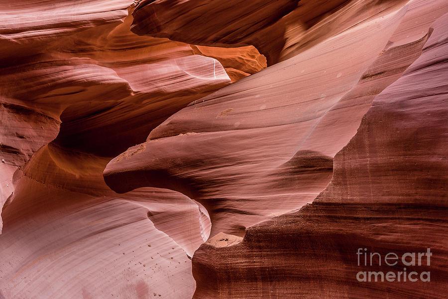 Lower Antelope Canyon #13 Photograph by Craig Shaknis