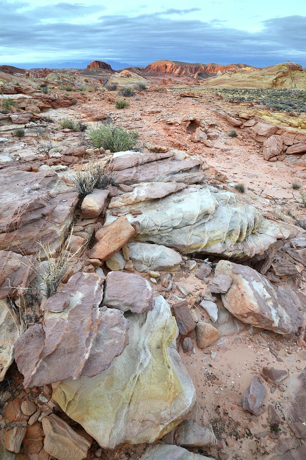 Multicolored Sandstone in Valley of Fire #18 Photograph by Ray Mathis