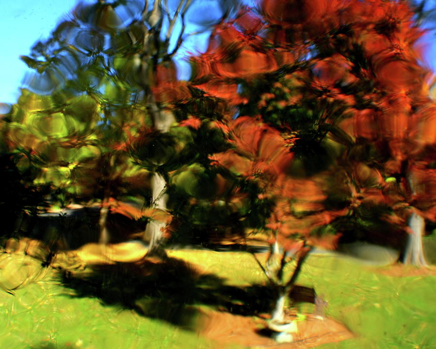 Abstract Photograph - Natural Impressionism #1 by Charles Shedd