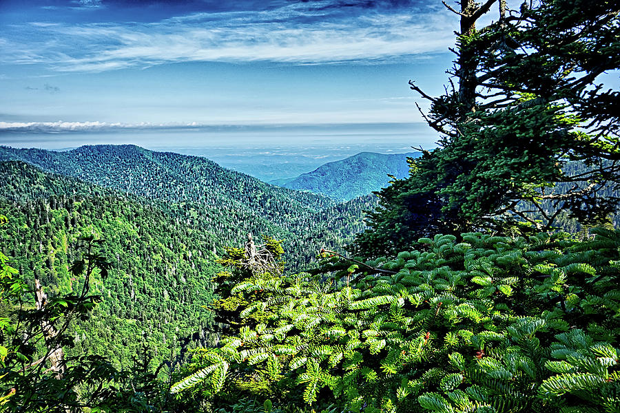 Scenes Along Appalachian Trail In Great Smoky Mountains #18 Photograph by Alex Grichenko