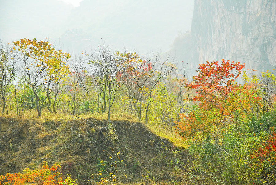 The colorful autumn scenery #18 Photograph by Carl Ning