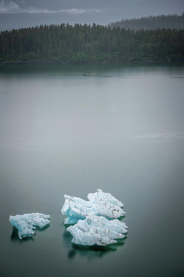 Tracy Arm Fjord Scenery In June In Alaska #18 Photograph by Alex Grichenko