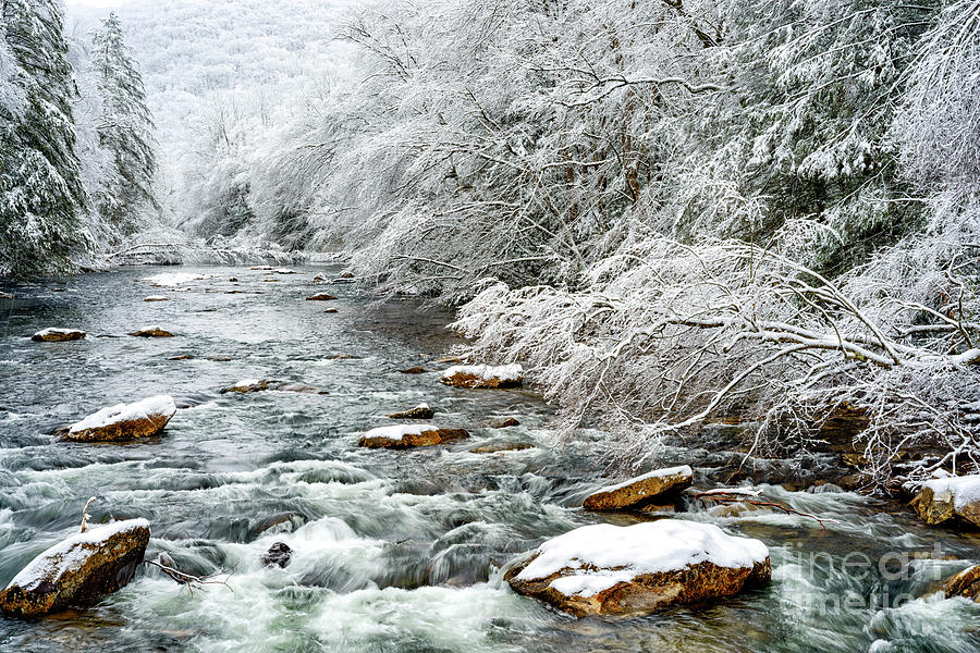 Winter along Cranberry River #18 Photograph by Thomas R Fletcher