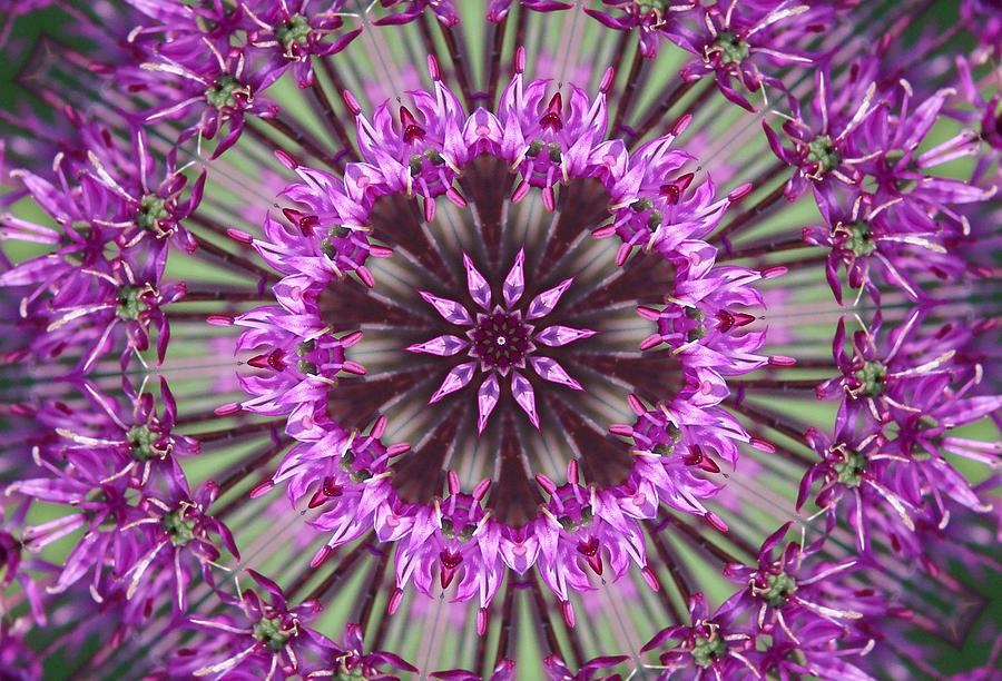 Kaleidoscope Photograph By Joyce Baldassarre Fine Art America 5172