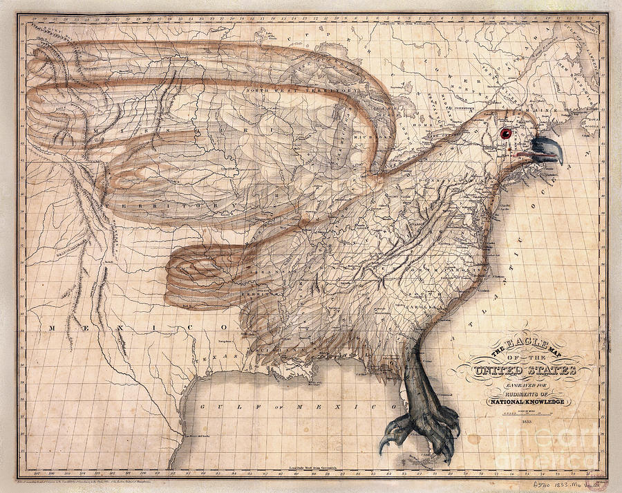 1833 United States Eagle Map Photograph by Jon Neidert