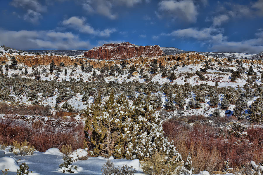 Capitol Reef National Park #184 Photograph by Mark Smith