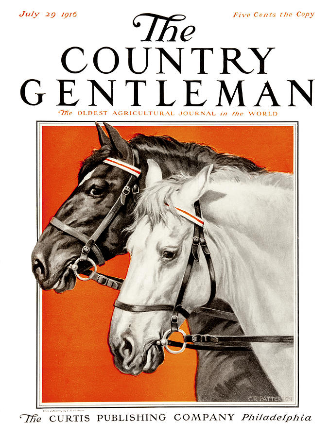 Cover Of Country Gentleman Agricultural #186 Photograph by Remsberg Inc