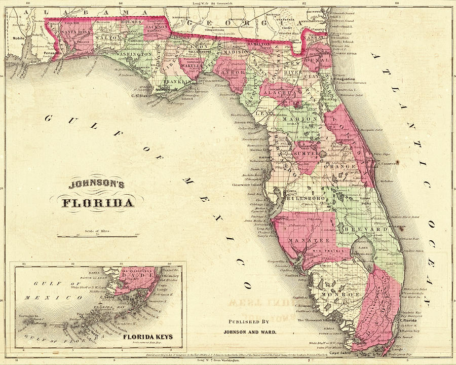 1864 Florida Map Color Photograph by Toby McGuire