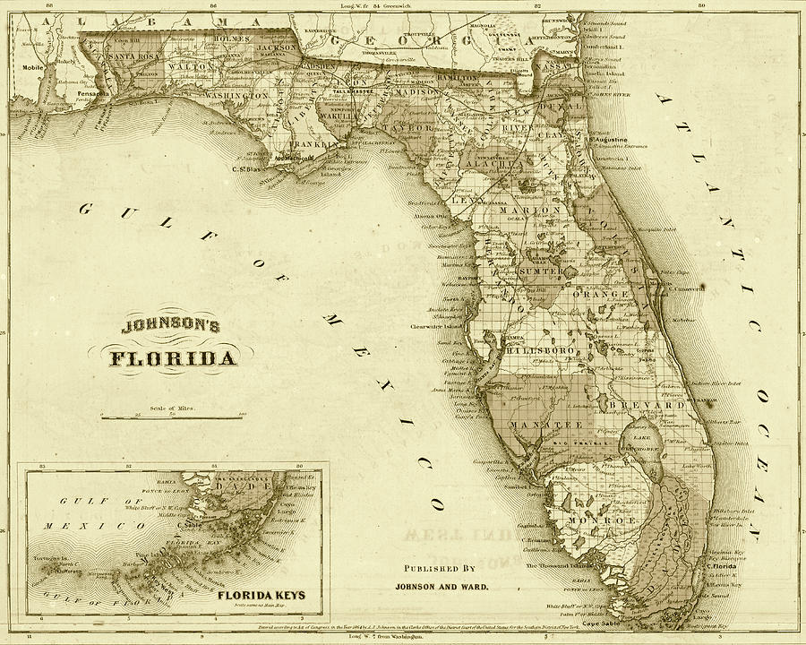 1864 Florida Map Sepia Photograph by Toby McGuire