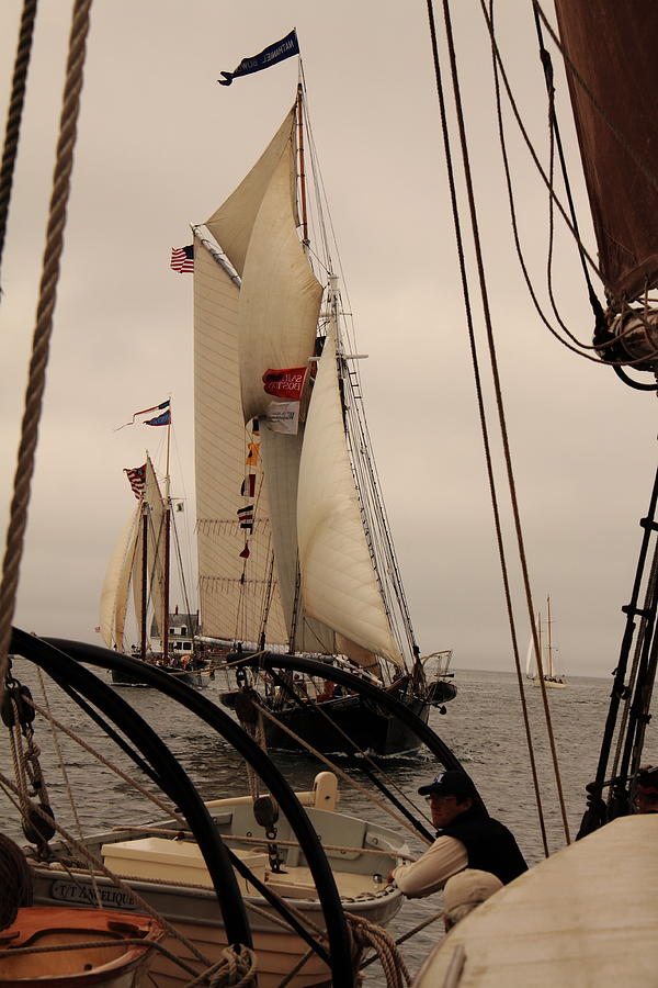 1871 In The Wind Photograph by Doug Mills