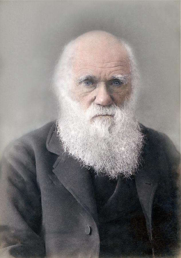 1879 Colour Charles Darwin Photograph Photograph by Paul D Stewart