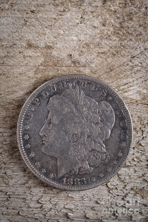 1883 Morgan Silver Dollar Photograph by Edward Fielding