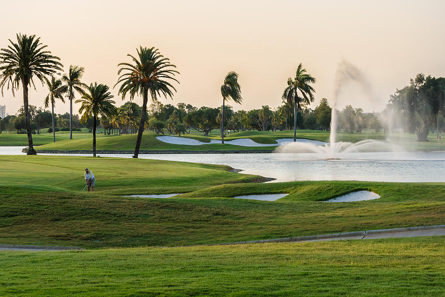 18th At Doral Photograph by Ed Gleichman