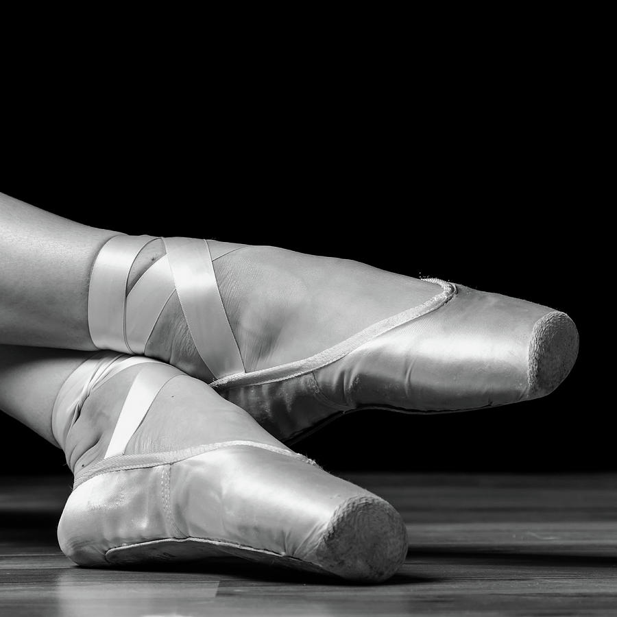 Ballet en Pointe #19 Photograph by Michelle Whitmore