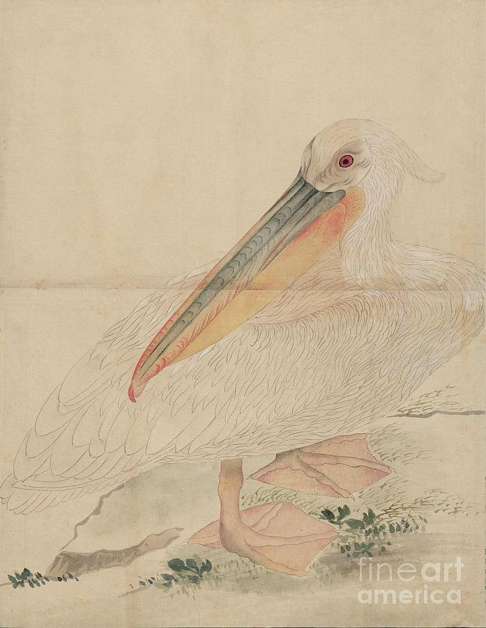 Birds of Japan in the 19th century #19 Painting by Celestial Images