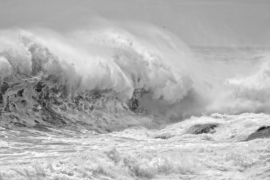 Black and White Large Waves Near Pemaquid Point On The Coast Of  #19 Photograph by Keith Webber Jr