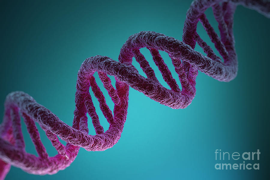 Dna Structure #19 Photograph by Science Picture Co