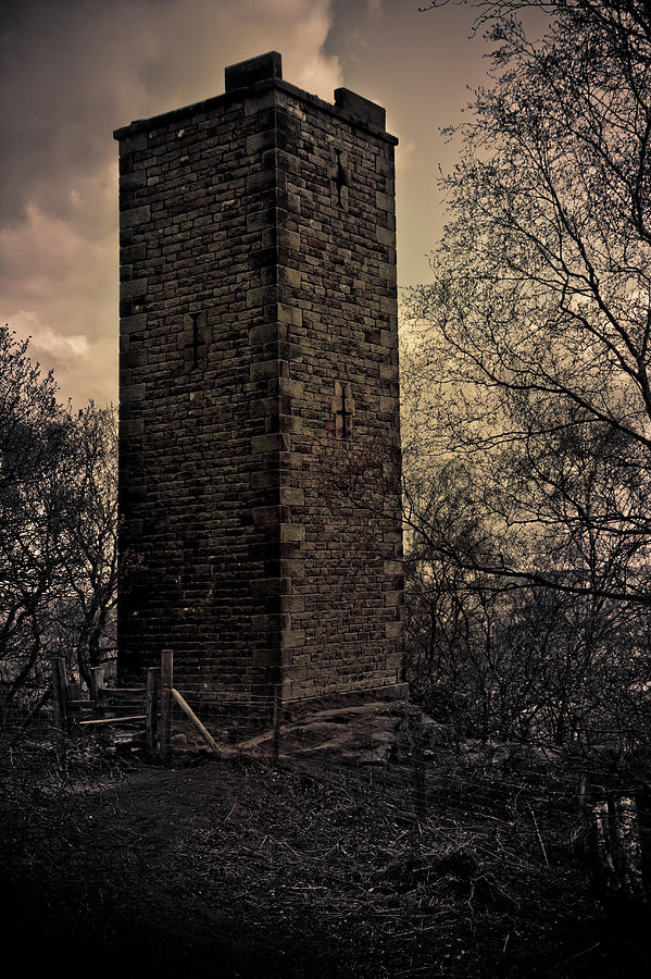 Landscape Photograph - Earl Grey Tower Derbyshire #20 by Roland Keates
